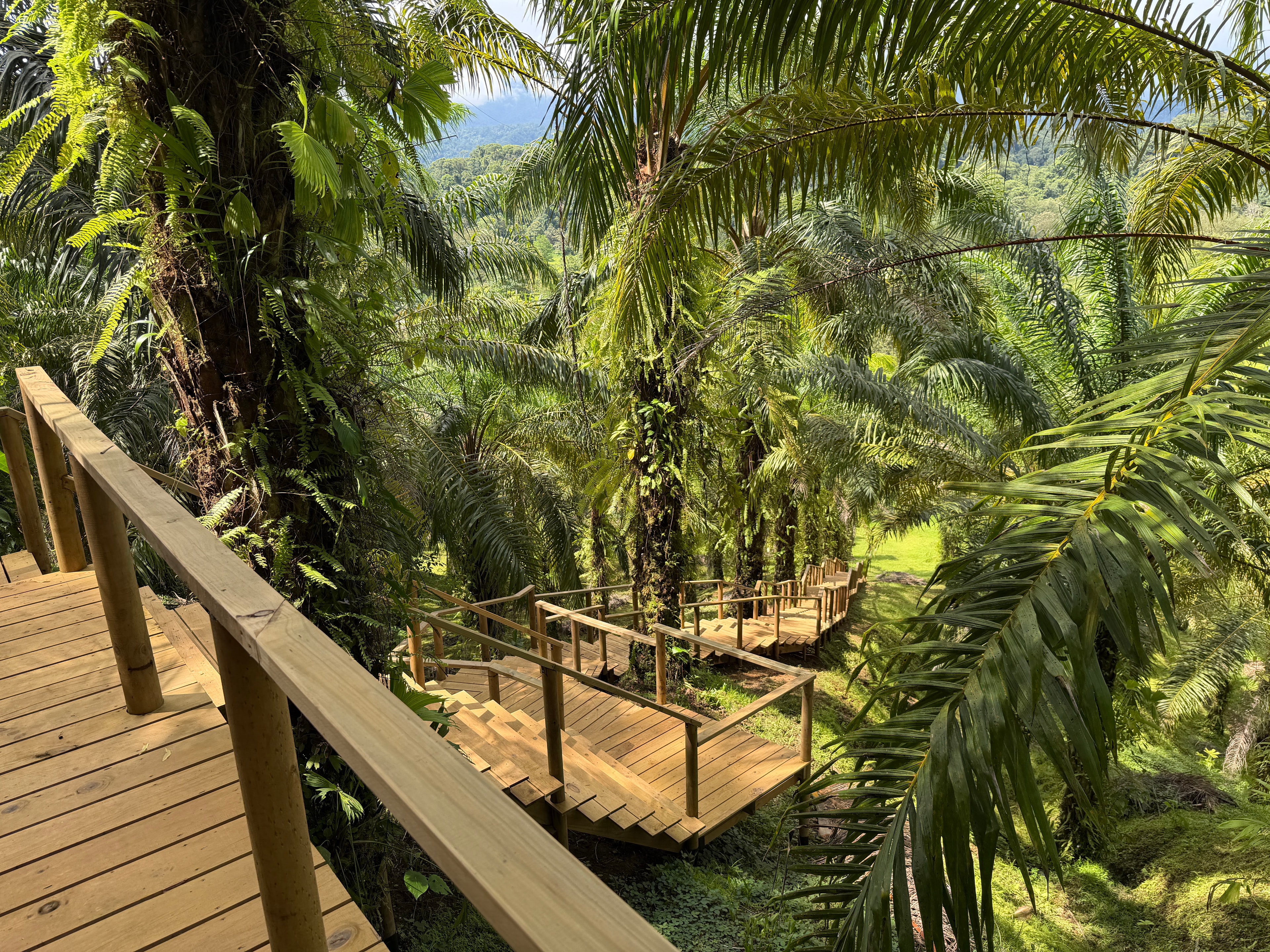 Vista aérea de la selva tropical de Valle Bonito, Costa Rica